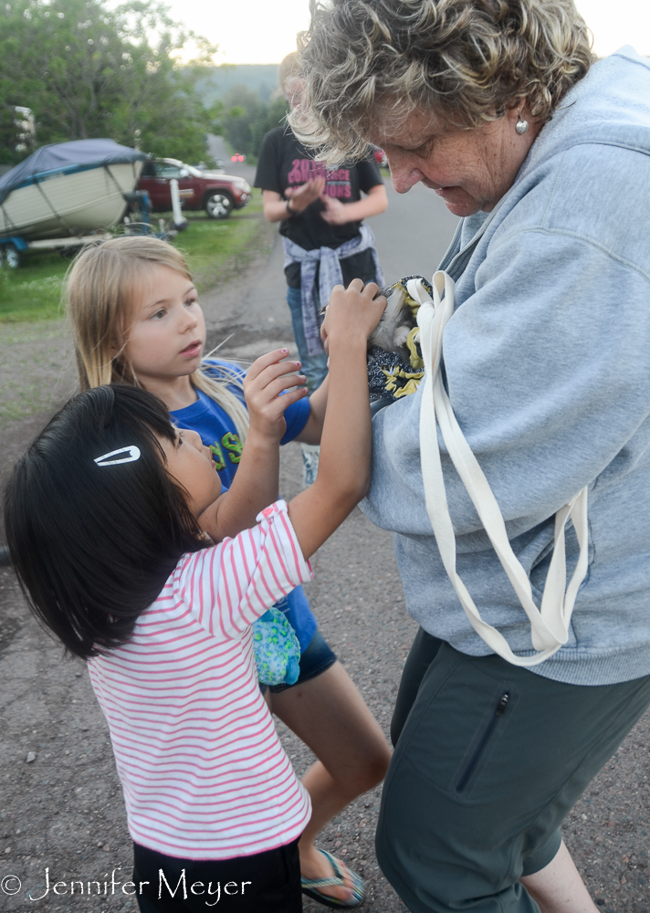 We couldn't walk 10 feet without people wanting to pet Gypsy.