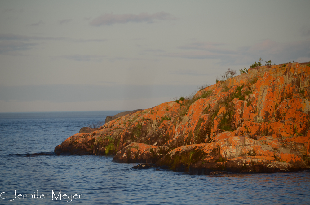 Orange lichen on the rocks.