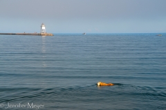 Bailey could swim as much as she wanted.