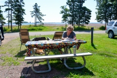 Kate had stayed back to work on a quilt.