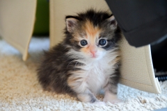 And babysit this little precious.