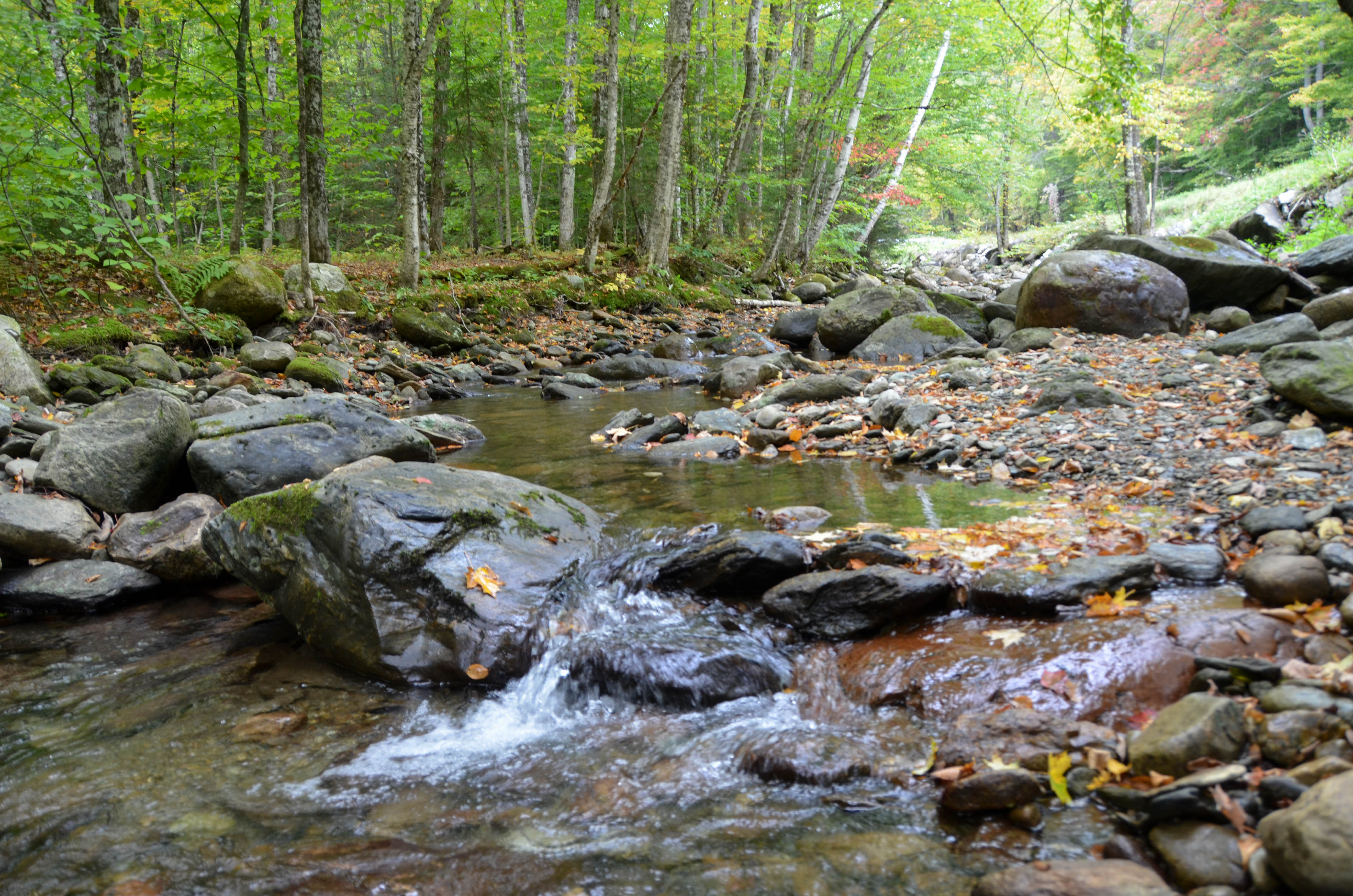 Though most shots had to be through the windshield, we could pull over for this riverbed.