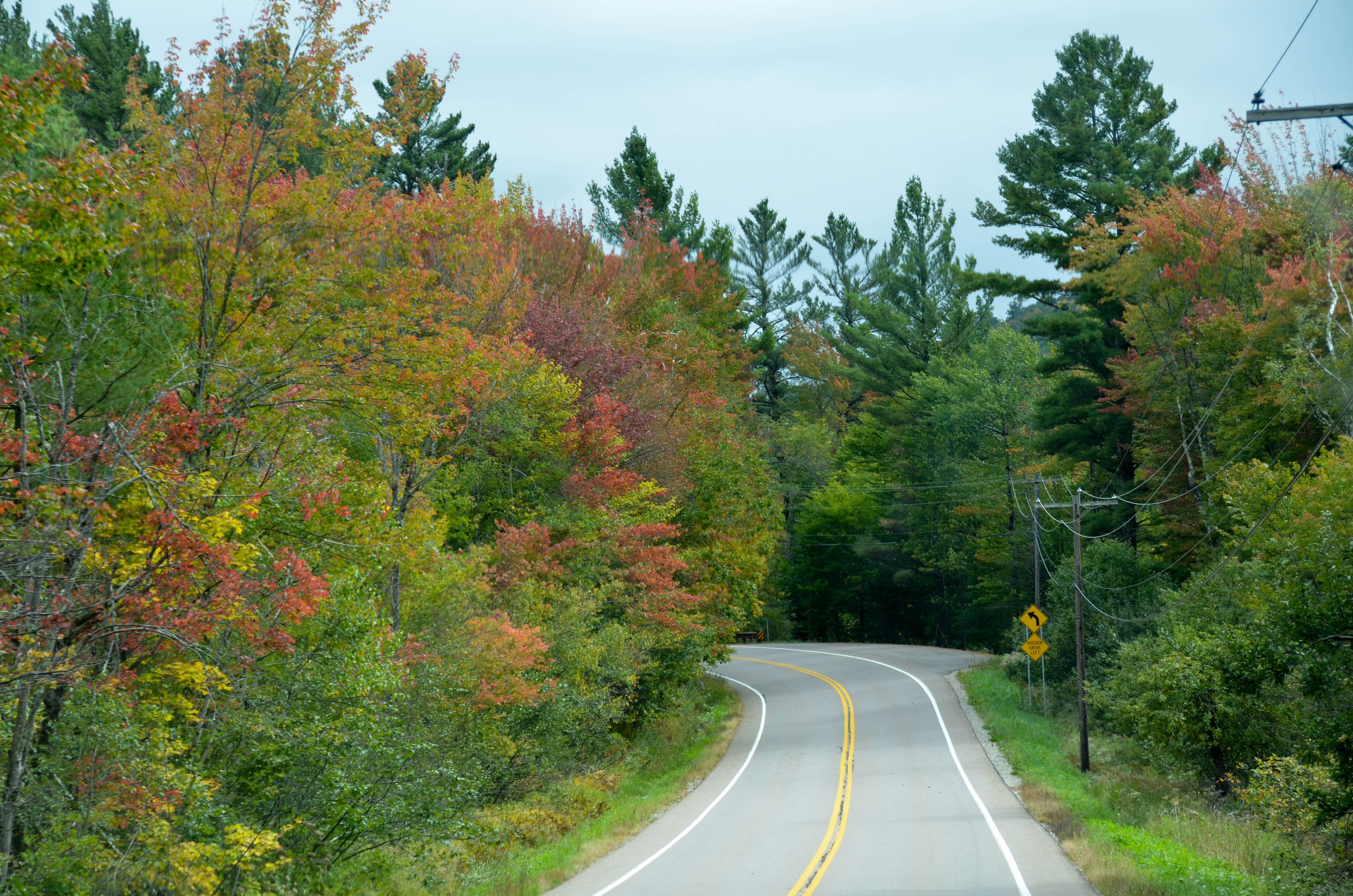 Lots of fall color.