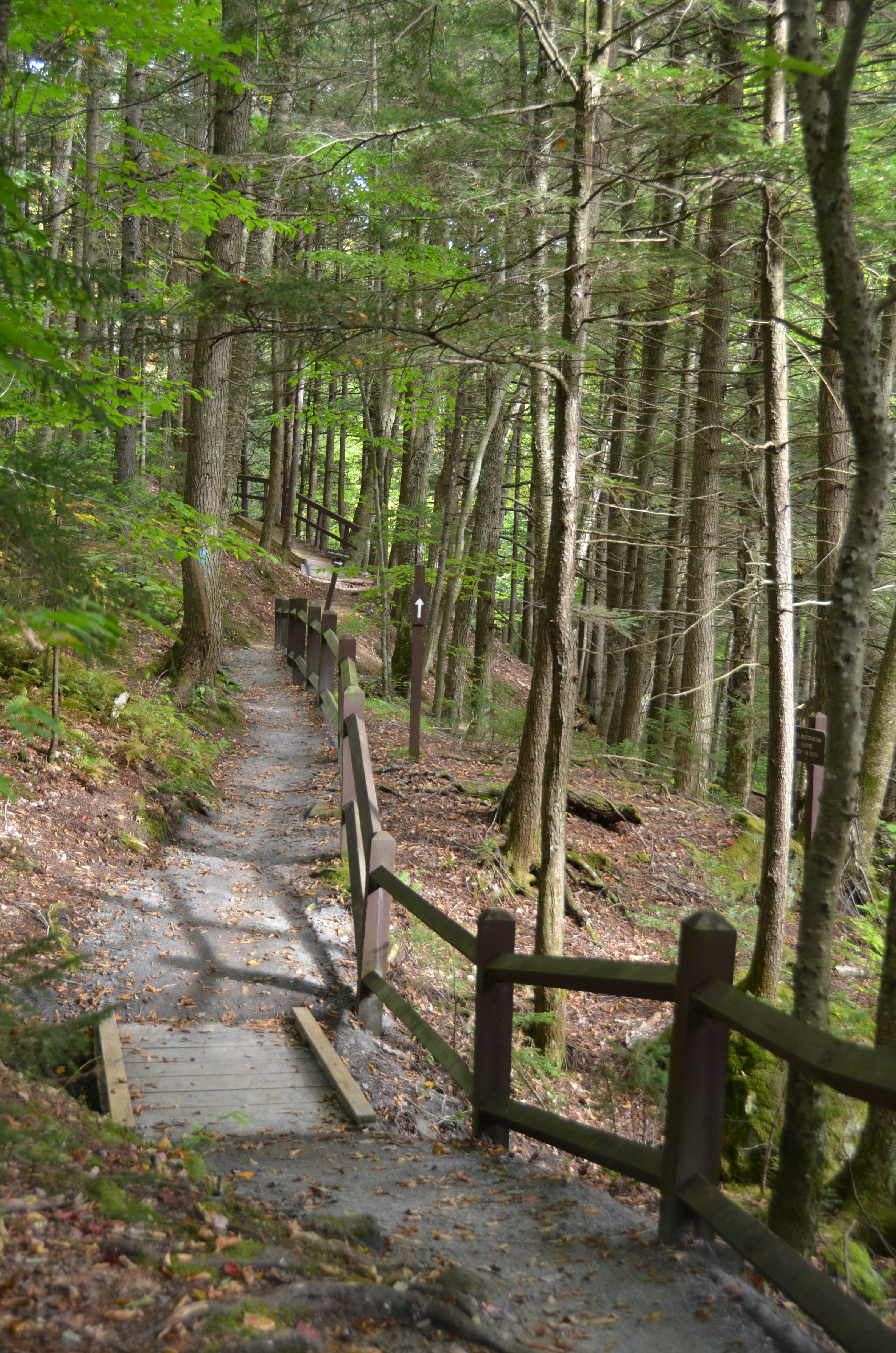 A nice place to hike.