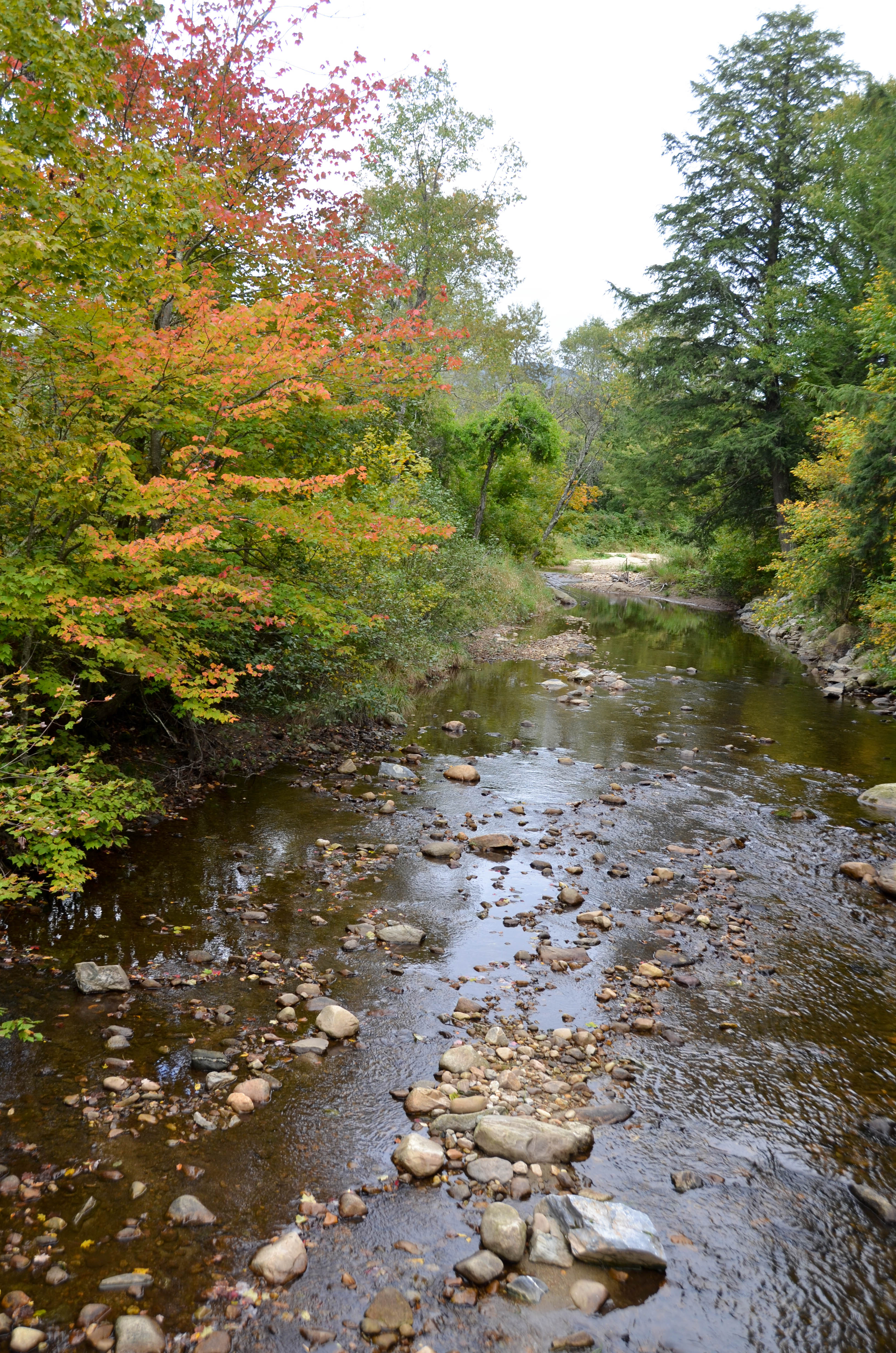 The river below the bridge.