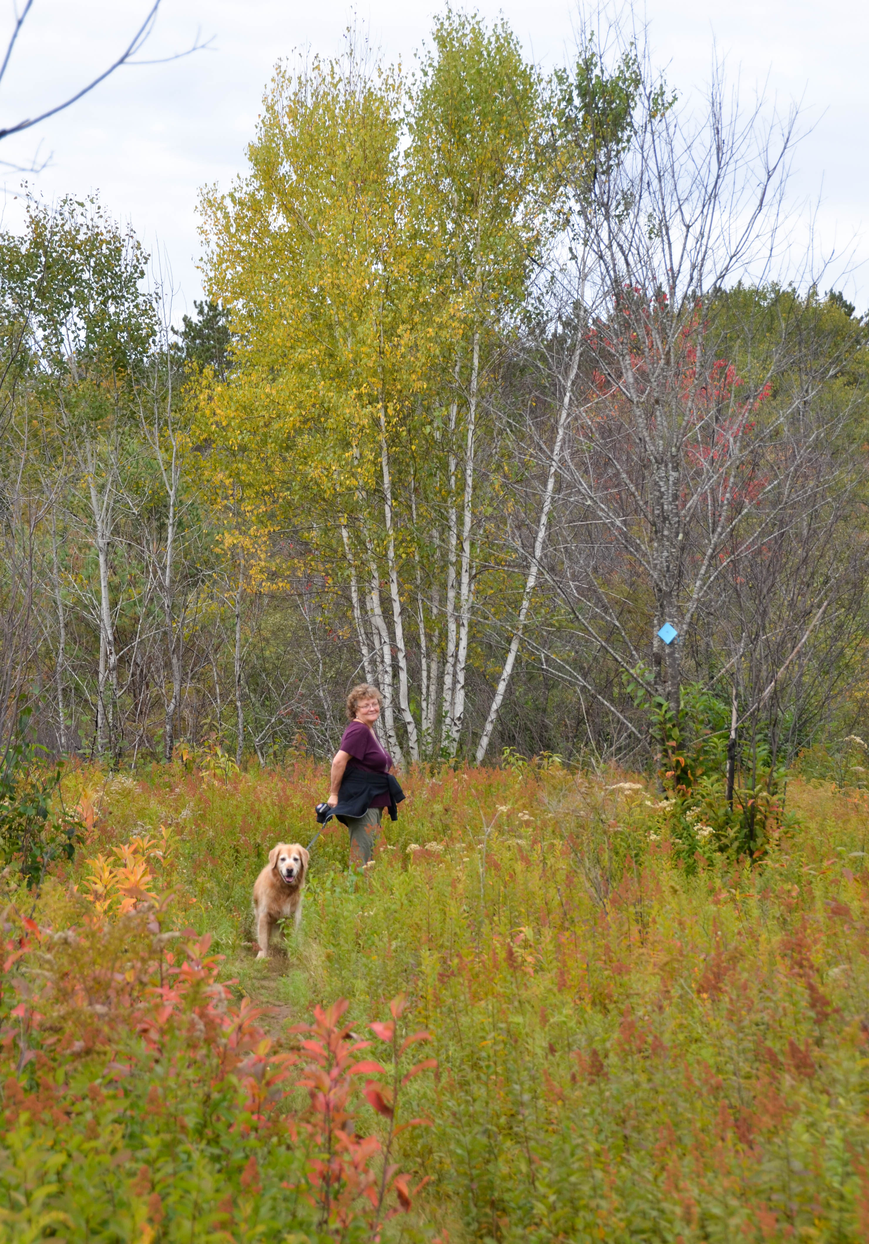 Bailey loved getting out for a good long walk.