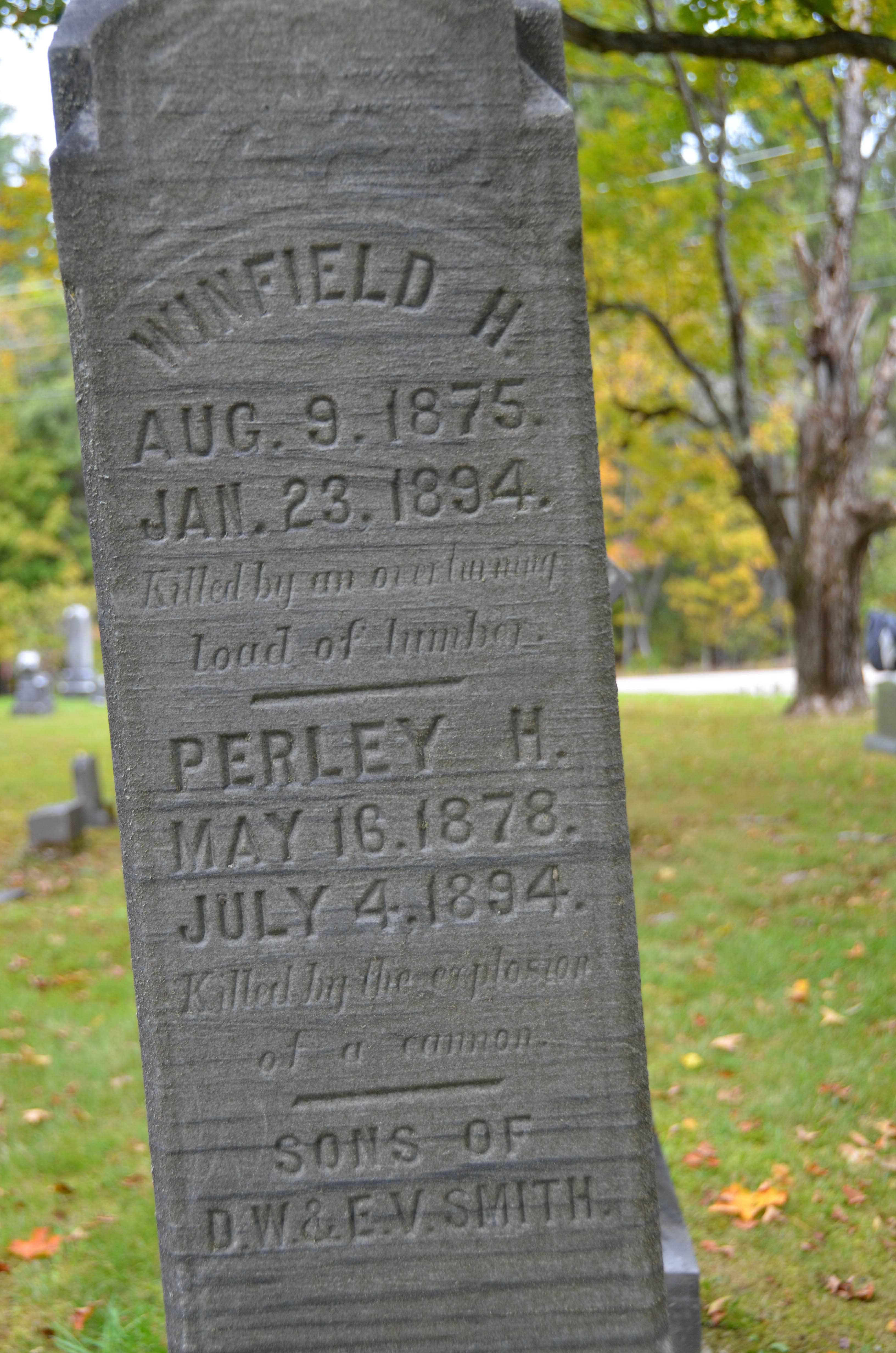 One boy killed by "an overturning load of lumber." The other killed by "the explosion of a cannon."