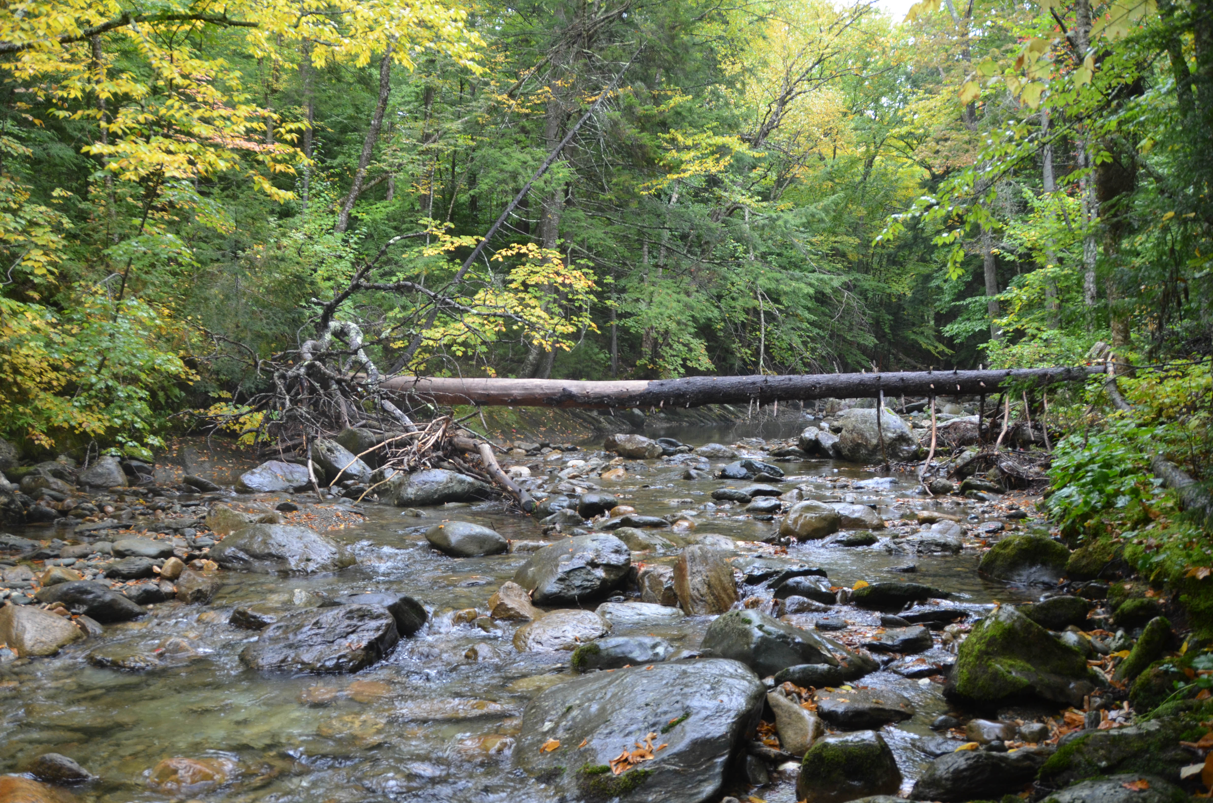 The next morning, Bailey and I went on a walk along the river.