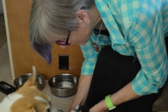 Jack got very worried when the kitten cried.