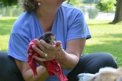 We gave the kitten some fresh air.