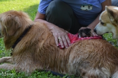 Just hanging out together.