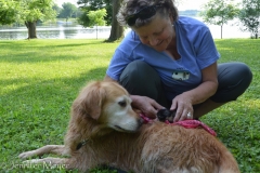 Bailey isn't too sure what to think of this tiny thing.