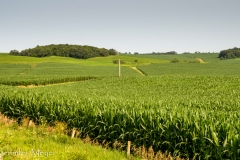 I left Kate and Barbara in the park and went on a bike ride.