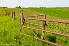 The green is so shockingly brilliant.