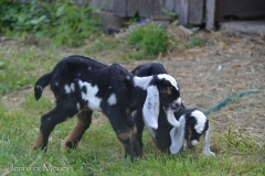 These two kids had been born the day before.