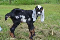 They were already walking.