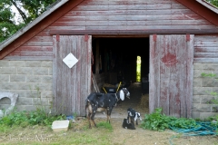 But they still get to bond.