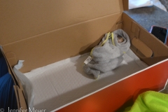 Back in Bessie, the kitten likes to be swaddled in her dark shoe box.