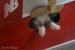 But when she wakes up, she wants out.