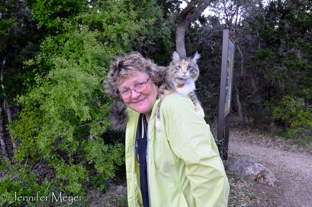 A shoulder perch.