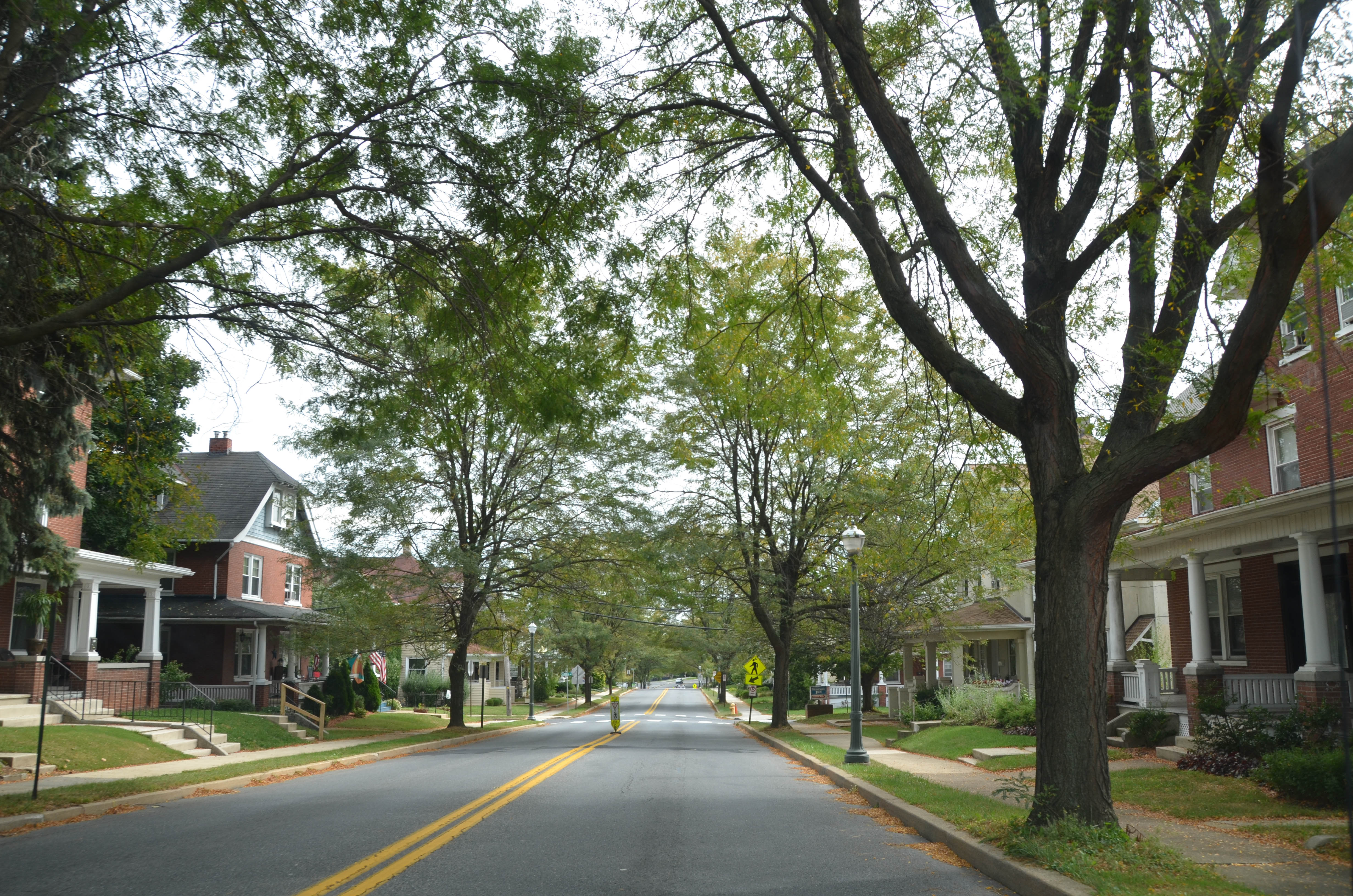 Neighborhood street.