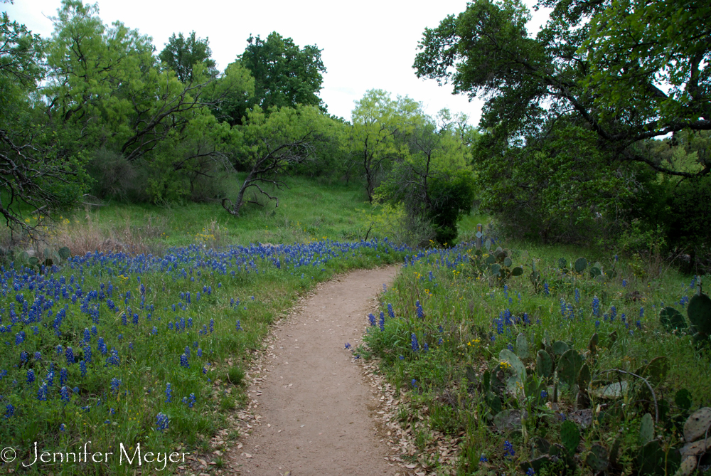 It was a great, quick trail.