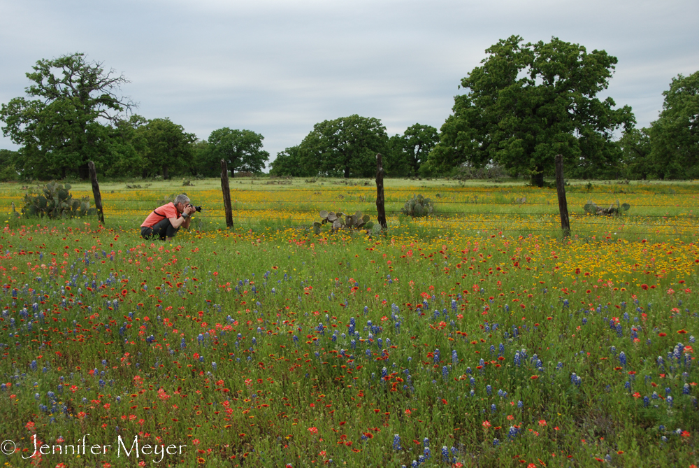 We stopped for more flower photos on the way home.