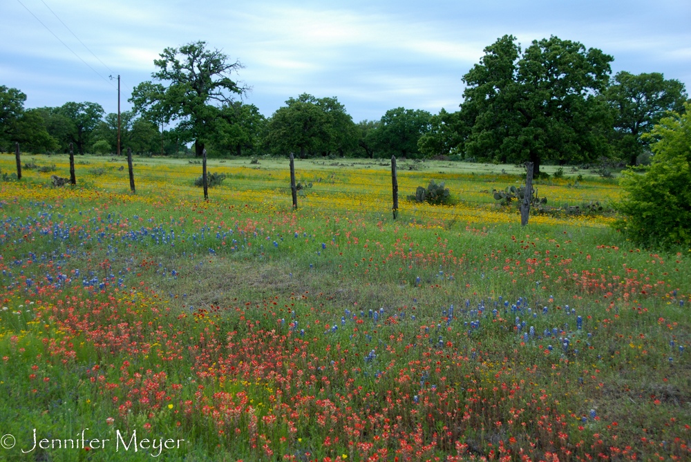 The mix of colors was just amazing.