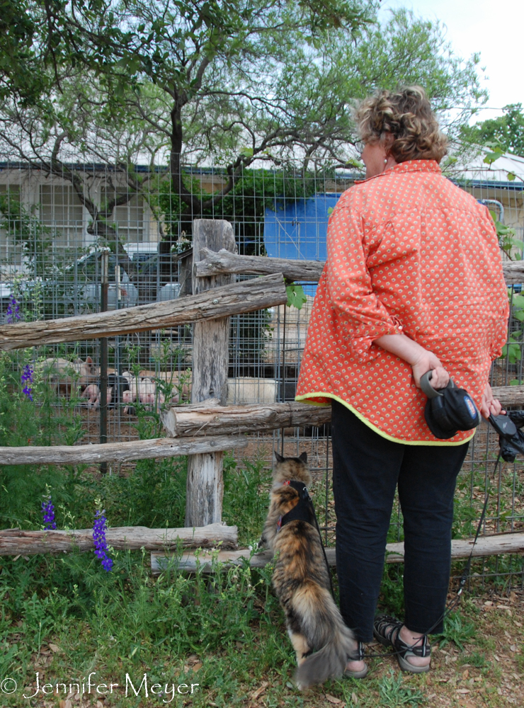 Gypsy just stared and stared at them.