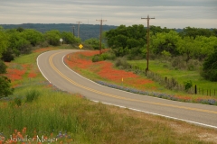 We drove over miles of country roads like this.