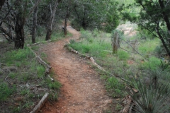 We went for a walk on the Ladybird Nature Trail.