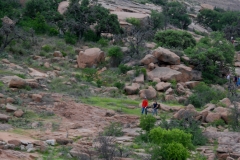 Most people tackle the hike to the top.