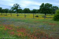 The mix of colors was just amazing.