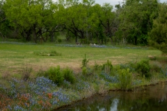Back at our little campground.