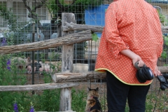 Gypsy just stared and stared at them.