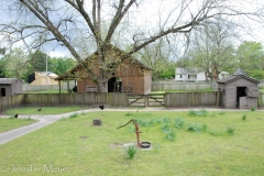 Yard and barn.