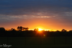 We watched the sunset from Bessie.