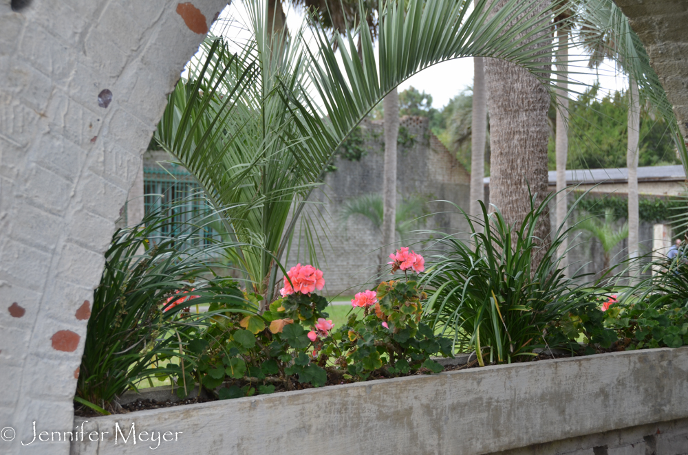 Flowers in the walkway window boxes.