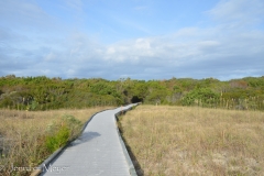 Out to the beach. Wheelchair friendly!