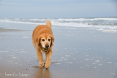 A ball, a beach, and thou.