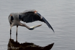 An underwing inspection.