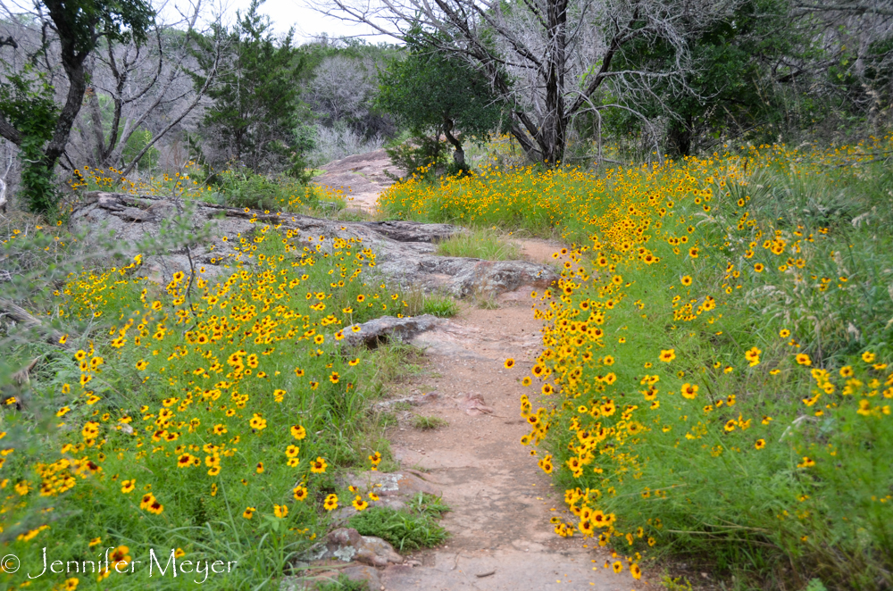 Beautiful trail.