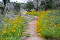 Beautiful trail.