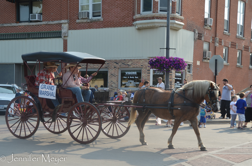 The Grand Marshall in a buggy.