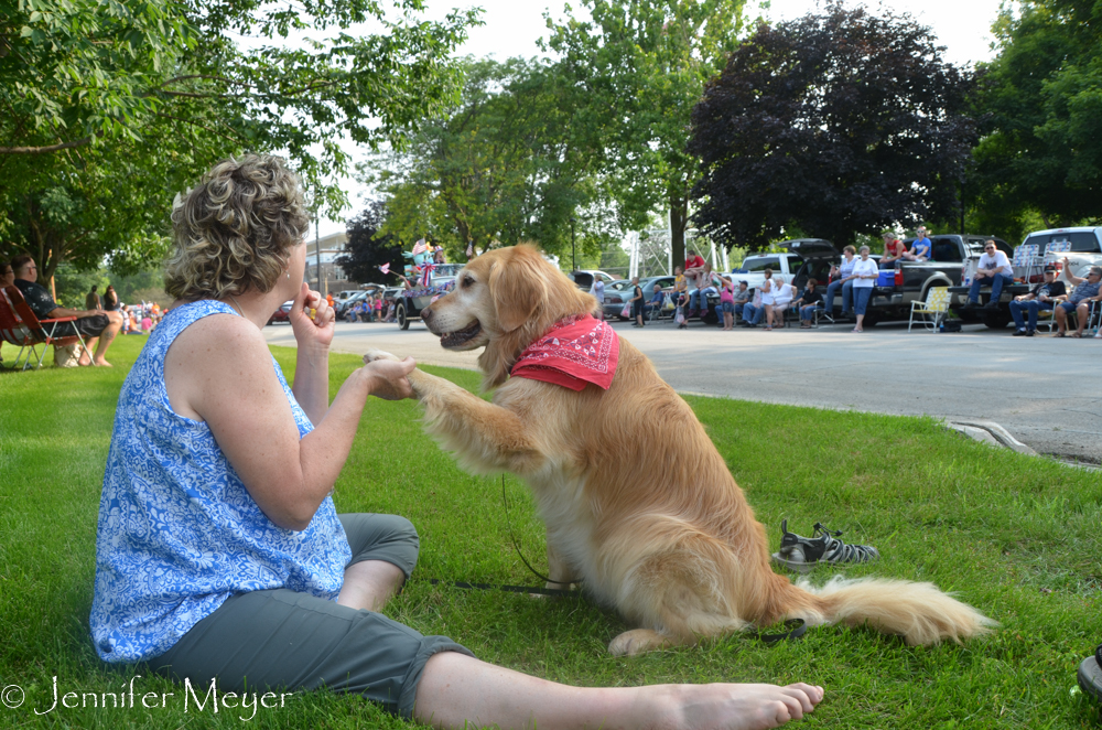 Bailey begs for a tootsie roll.