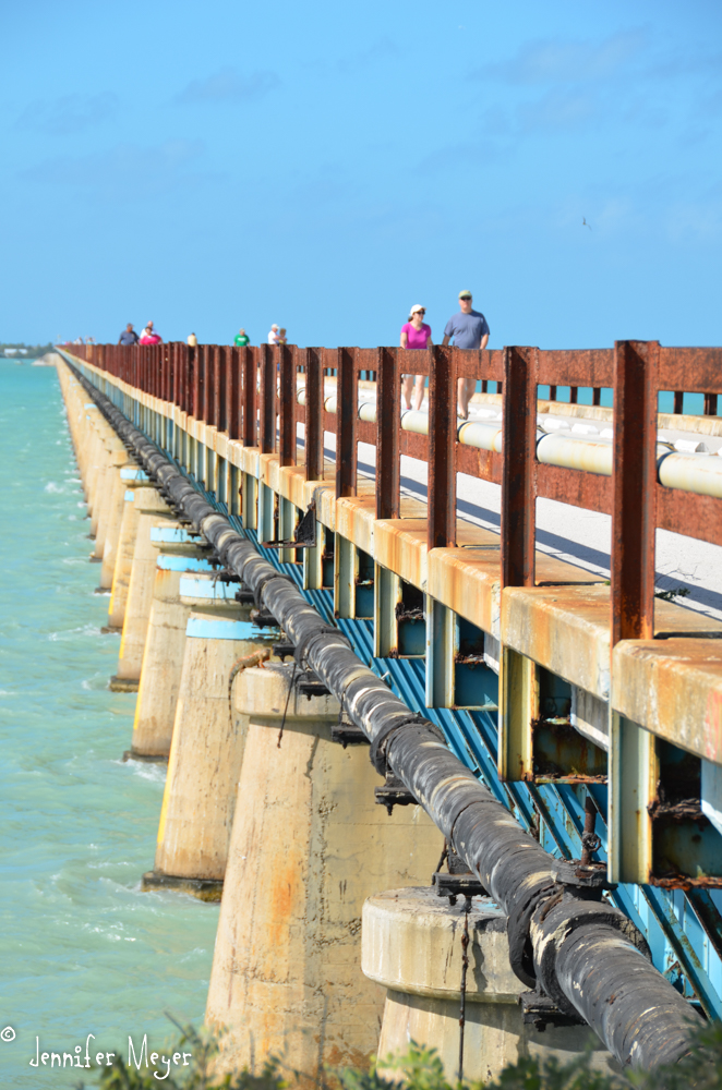 People walk 7 miles out and back.