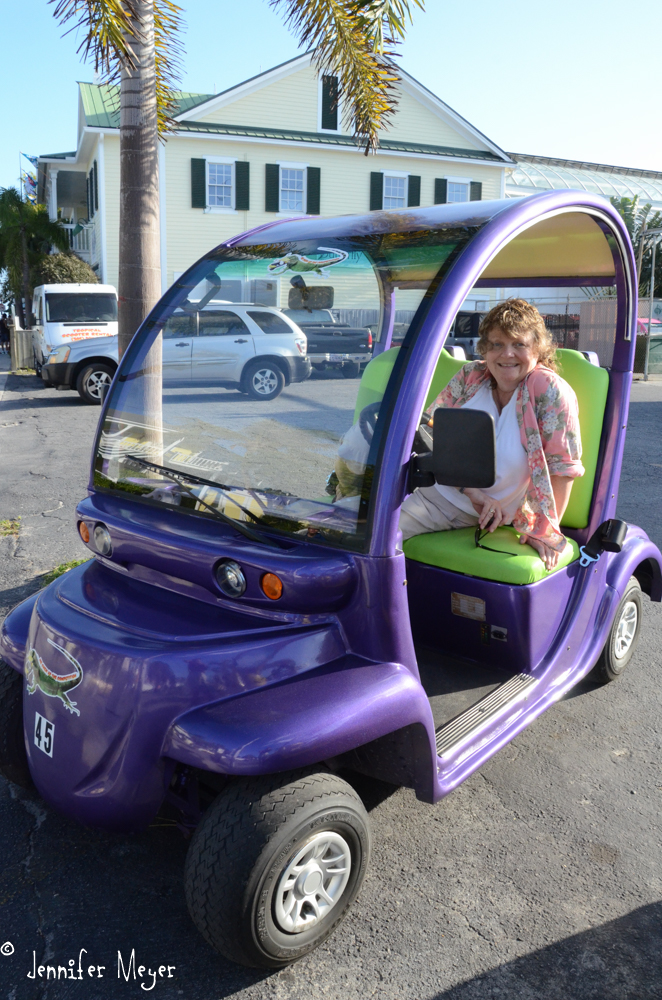 Kate wanted to rent one of these.