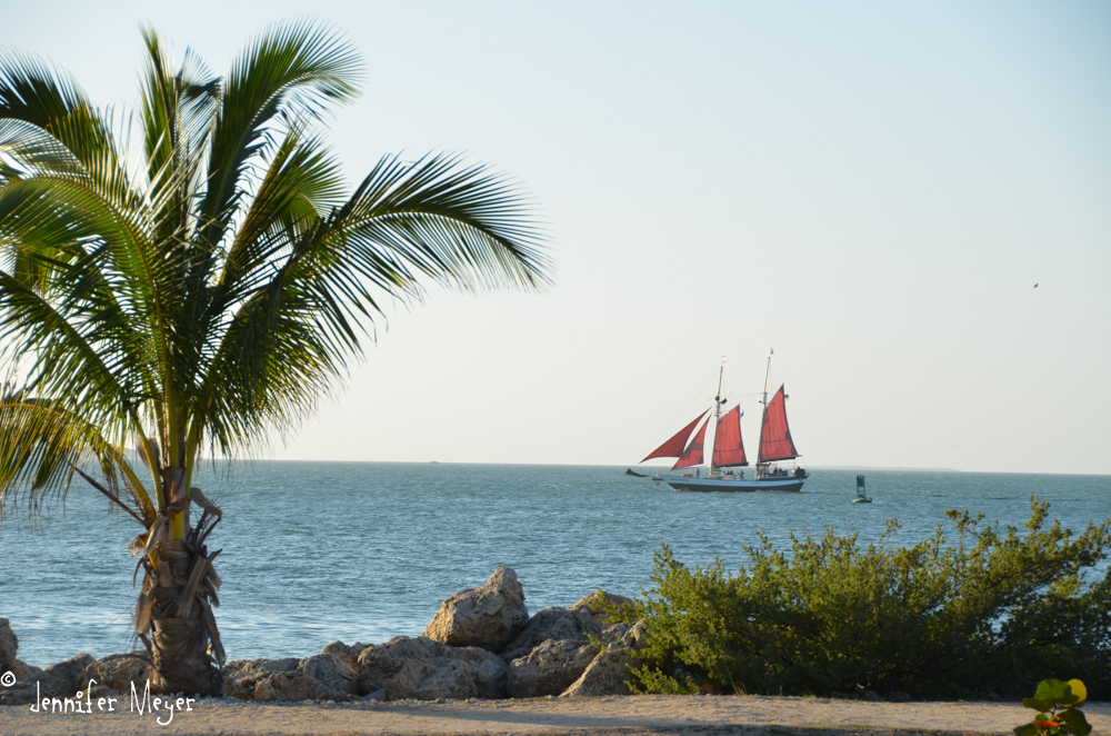 We went to Fort Zachary State Park to watch the sunset.