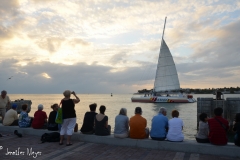 Everyone gathers at Mallory Square to watch the sunset.
