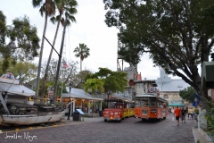 A streetcar and trolley pass on the cobblestone road.